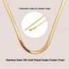 2025 High Quality Clavicle Blade Chains Dropshipping Women Gold Silver Color Stainless Steel 35+5cm Snake Choker Necklace Chain