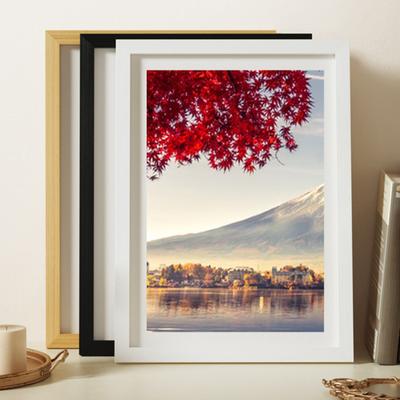 Photo Frame Wall Picture Frame with Shatter Resistant Plexiglass A4 Sized Painting