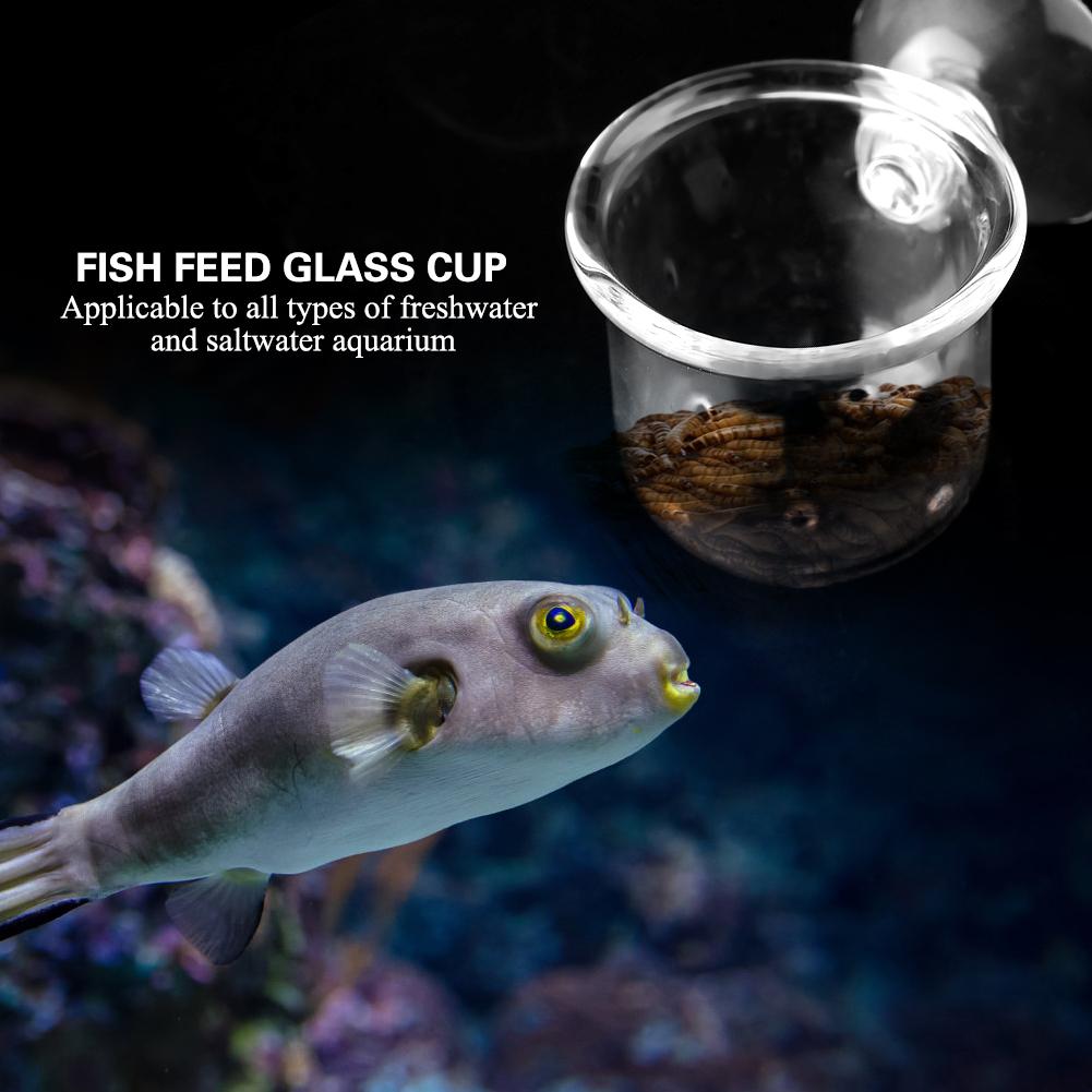 Small   Glass Plant Feeding Cup Fish Red Worm Feeder Cups for Aquarium(S)