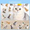Cat Themed Pet Confetti Birthday Party Desktop Decoration Props Throwing