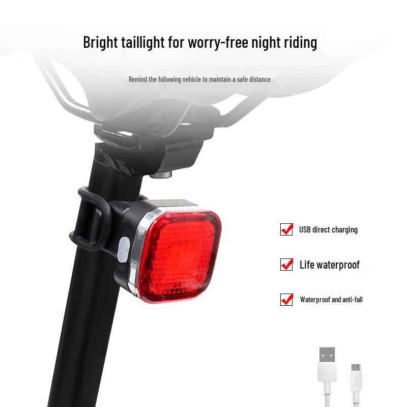 Lishi USB Rechargeable Bicycle Taillight