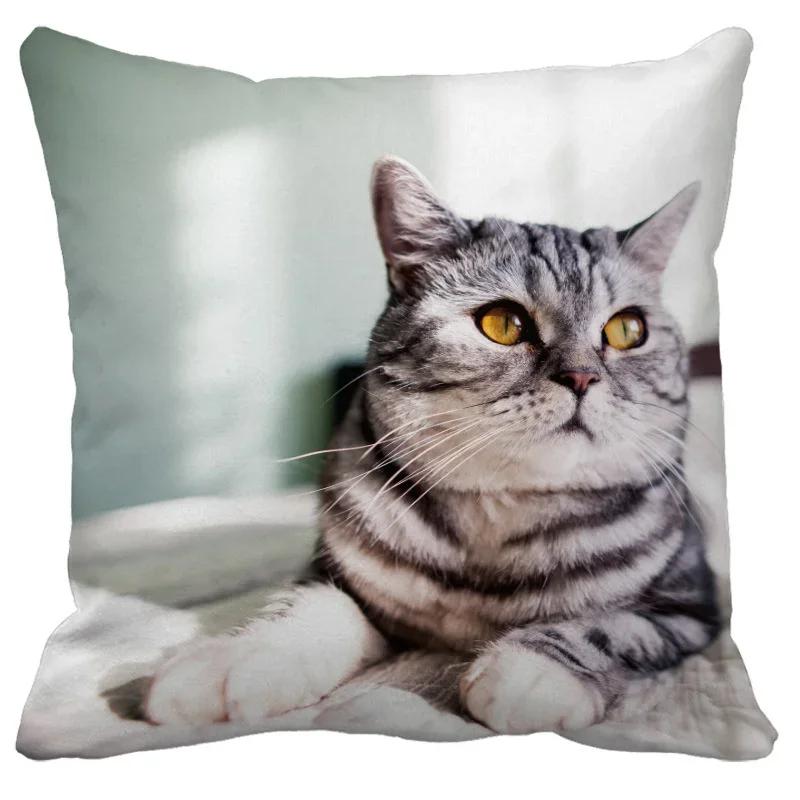 Lovely Pet Cat Pillow Cases Sleeping Bubble Black Cats Animal Cushion Cover Sofa Living Room Home Decorative Custom Pillowslip