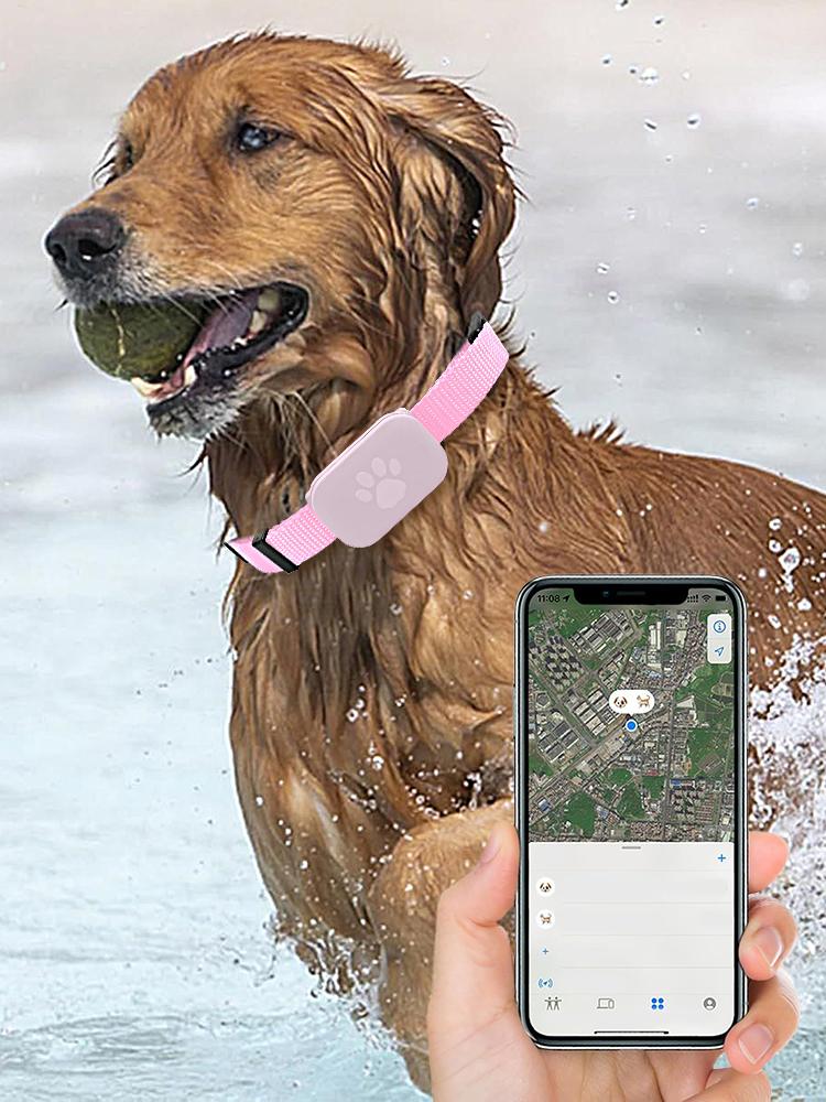 Cat GPS Cat Colla Safety Protection Long-Lasting Battery Pet Cat Locate Supplies For Medium Large Puppy