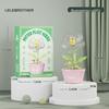 Compatible LEGO Flower Basket & Succulent Building Kit - Educational Toy & Valentine's Teacher Gift