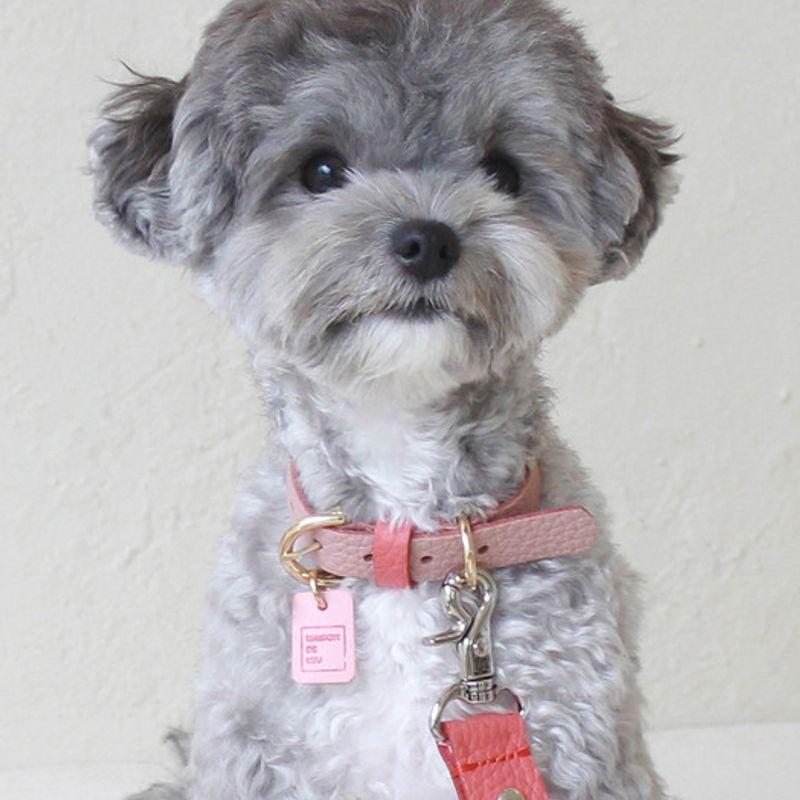 MAISON DE MIU Petsnal Color Leine Pink/Koralle