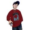 2025 Boys' Autumn Street Style Sweatshirt – Trendy Fashion for Toddlers & Kids
