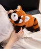 Plush Toy: Green Frog, Sleepy Raccoon, Panda Pillow - Children's Gift