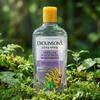 DICKINSON Micellar Original Witch Hazel Makeup Remover Cleansing Water, 473ml, 1 Pcs
