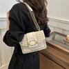 Fashion messenger bag beautiful small square bag niche design women's bag new trendy chain shoulder bag