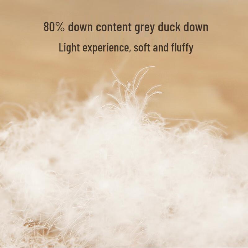 JDZ Premium Down Winter Comforter