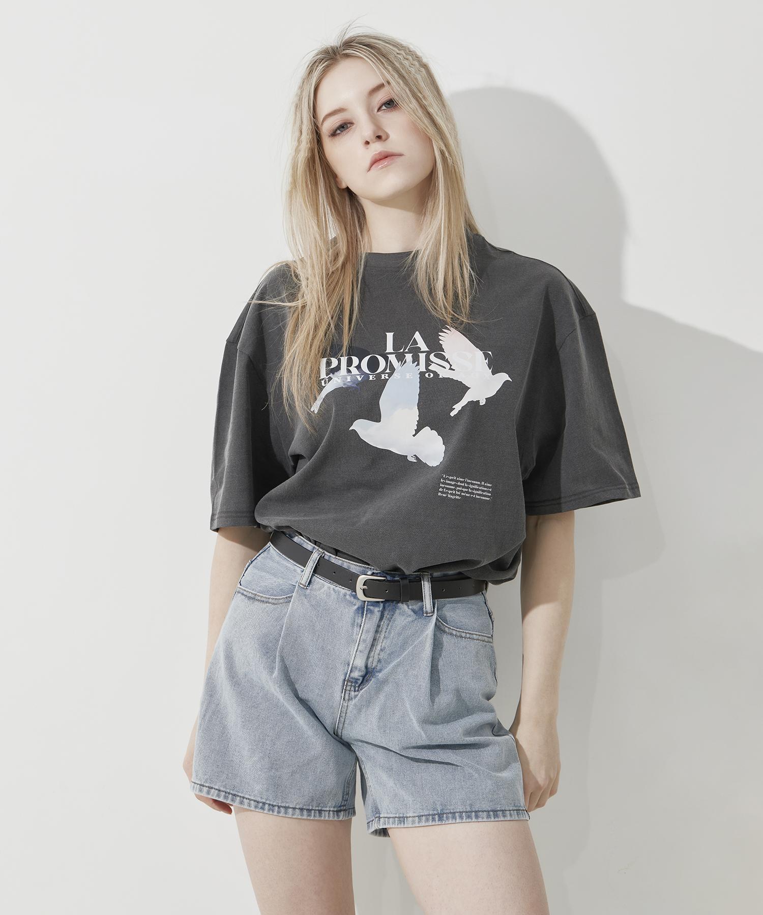 Aox Promise Pigmented T-Shirt (Gray) Gray/Free