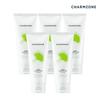 Ginkgo Natural Cleansing Foam 200ml 5pcs