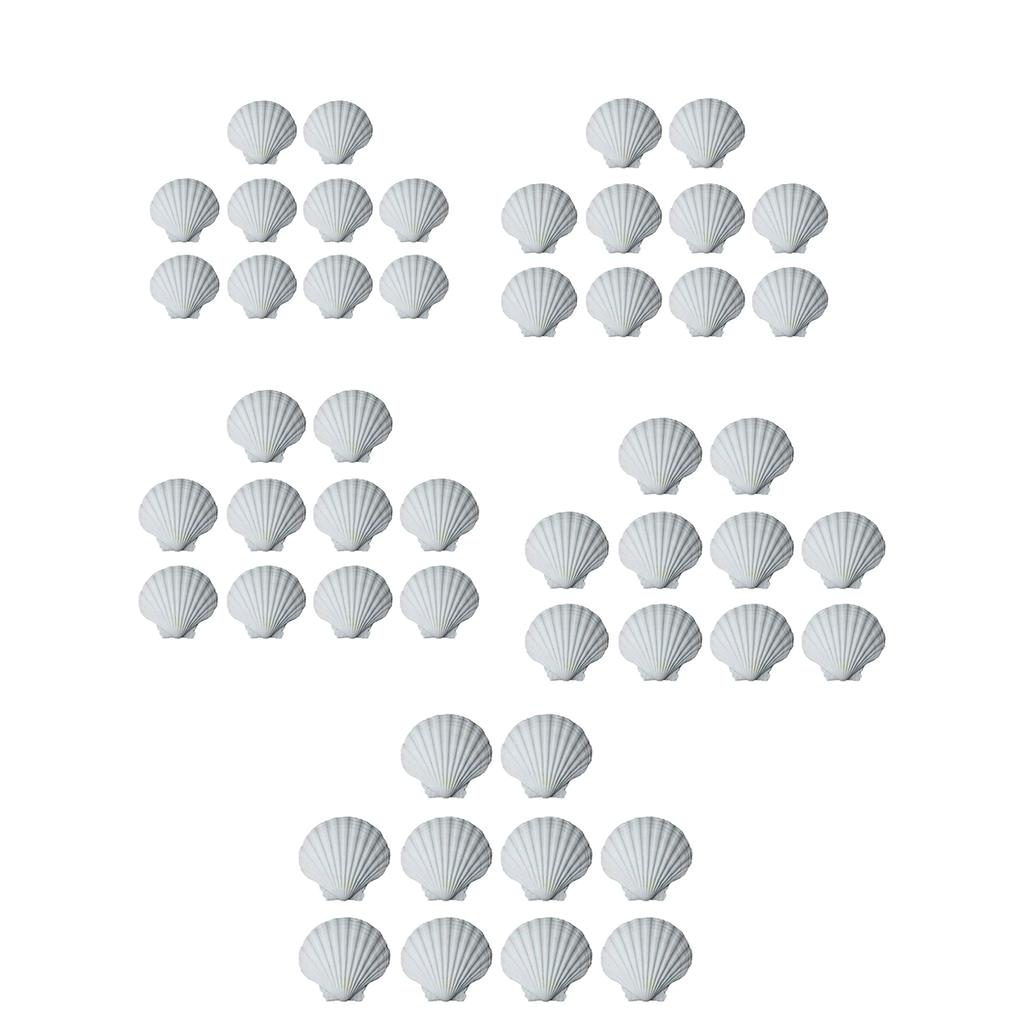 10pcs DIY White Seashells Perfectly For Handcrafting And Painting Activities For Kids And Adults House Decoration