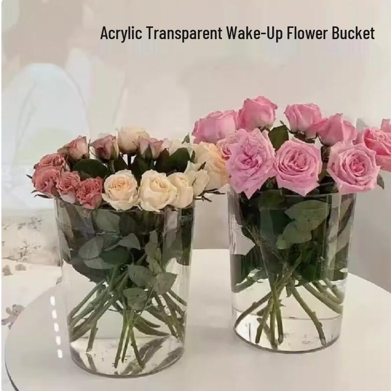 Rongyu Clear Acrylic Storage Tube with Sealed Bottom