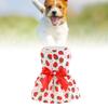 Eye-catching Breathable Dog Dress Thin Strawberry Printed Pet Skirt Red Tone Lightweight Cat Apparel Daily Wear