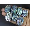 313Cts.Abalone Shell Oval Cabochon Loose Natural Gemstone 07Pcs Lot 30-35MM C-1708