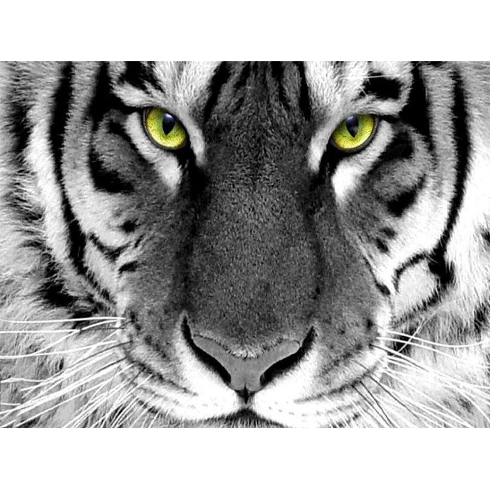 5D Round Diamond Painting "animal" Lion Tiger Diamond Embroidery Cross Stitch Kit Rhinestone Mosaic Picture DIY Decoration Gift