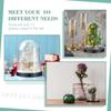 DIY Transparent Plastic Bell Jar Dome Ball Screw-On Lid Preserved Flower Display Ideal Valentine's Day  Holiday Craft Decoration