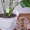 Clear Plastic Plant Stem Stabilizers Garden Stakes for Supporting Fragile Flowers Herbs Small Trees
