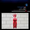 Double Chain Oil Drum Lifter - Multi-functional Forklift Clamp & Hook