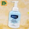 Vaseline Hand Wash Moisturizing Hand Sanitizer Foaming Soap Total Antibacterial (16521870)