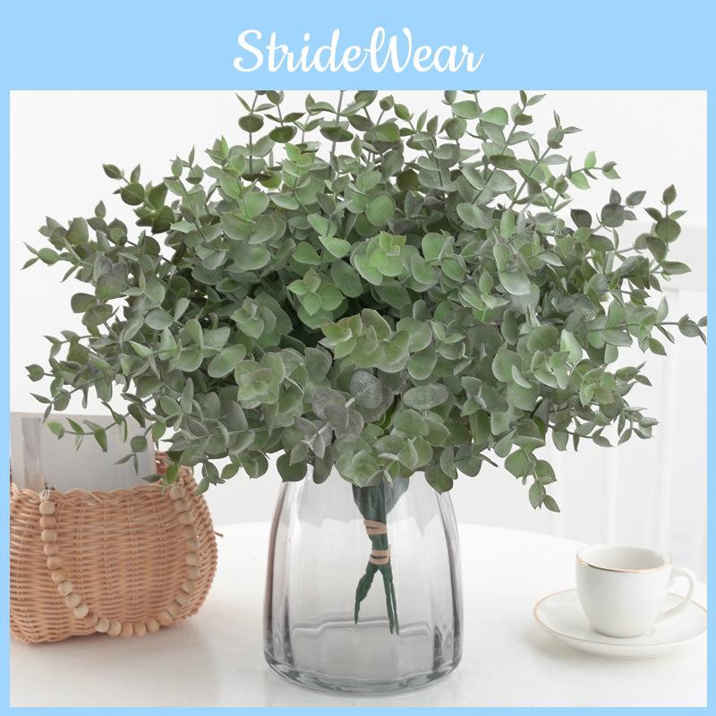 Eucalyptus Plant Globulus Foliage For Home Enhancement Photography Prop