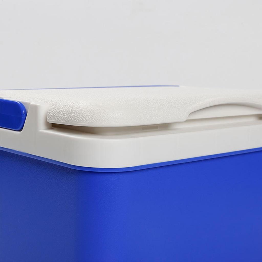 Insulated Coolers 6L Leak-Resistant Insulated Box Ice Cooler With Handle For Outdoor Automotive Car Camping Hiking Travel Gym