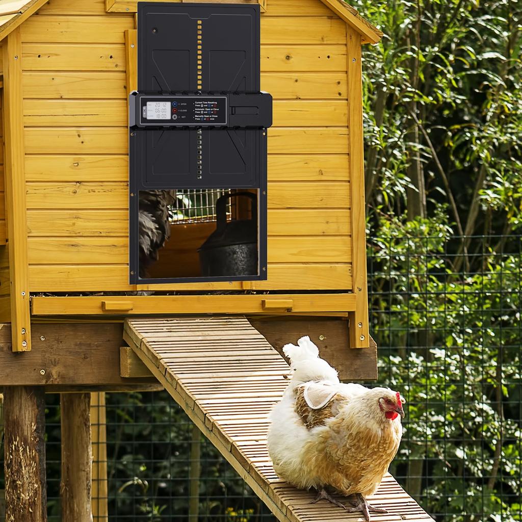 Large Automatic Chicken Door with Timer Control and LCD Display for Weatherproof Coops Powered by 3 AA Batteries (Batteries Not