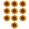20 Stück DIY Bastel Sonnenblumen Stickerei Aufnäher Stickerei Zubehör Aufnäher zum Aufnähen Kleidung Dekoration