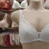 White Lace Non Woven Full Cup Bra Abr4424 