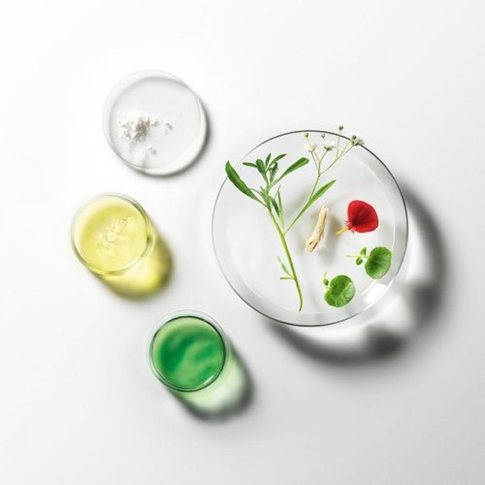 Rene Furterer Triphasic Pro Scalp Ampoule  5.5ml 8ea   +Triphasic Serum 100ml Gift 