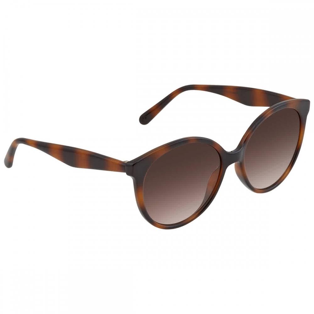 Salvatore Ferragamo Brown Gradient Round Ladies Sunglasses Sf1071s 58 Multi