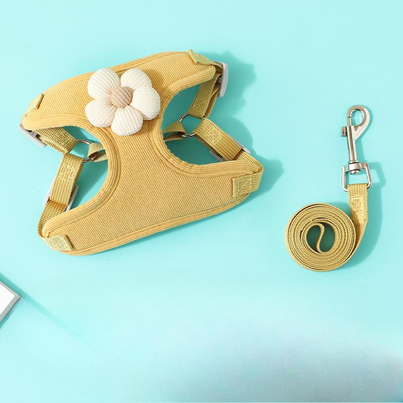 Welpenleine, Hundeweste, Kleiner Welpe Teddy, Bichon Frise, Bichon Frise Geschirr Kette, Gassi gehen