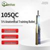 Senhao 105QC Anatomical Training Model