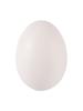 5/50 Piezas Huevos de Paloma Simulados Huevos Falsos Simulados Suministros para Incubación de Palomas Mensajeras Herramientas para la Cría de Pájaros Huevos para Incubación en Nido