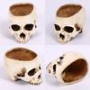 Premium Resin Human Skull Head Design Flower Pot Planter For Unique Home Decor