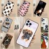Boxer Dog For Huawei Nova 11 9 10 SE Y70 Y60 Y90 Y61 Y91 Y73 Y72 12i 11i 8i P30 P40 Lite P60 Pro Case