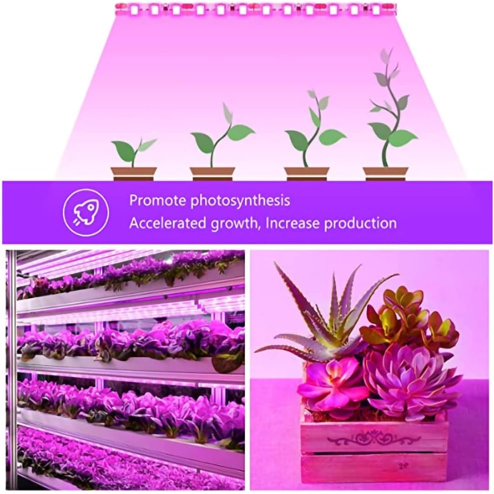 Luz LED para Plantas 5V Tira de LED para Cultivo 5V USB LED 1-5m Espectro Completo Chip LED Para Estufa Tenda de Cultivo de Mudas Hidropônico