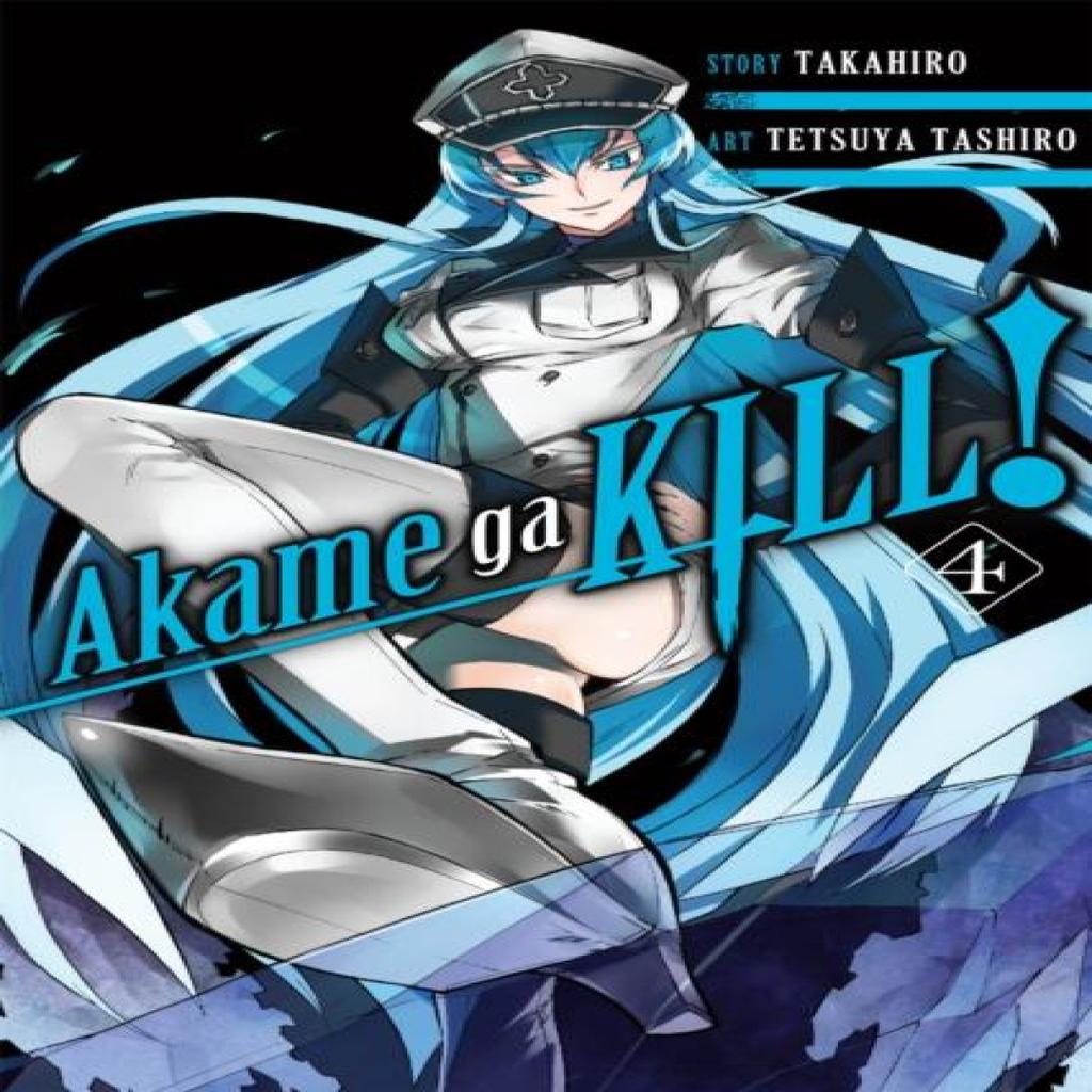 Akame Ga Kill Vol. 4 by Tetsuya Tashiro Paperback Book 9780316340052