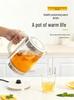 Insulated Electric Kettle with Large Capacity, Durable 304 Stainless Steel & Glass, Auto Power-Off for Home.
