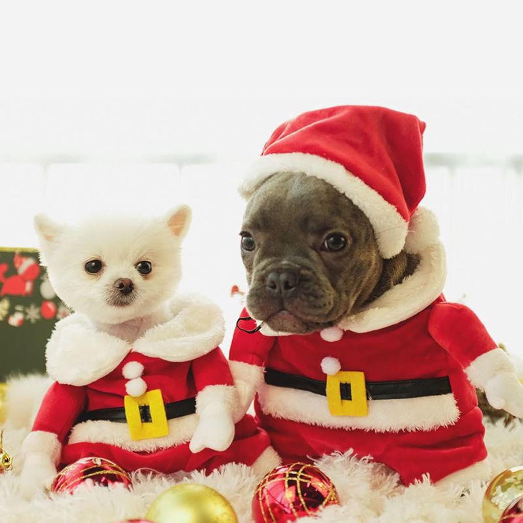 Pet Dogs Clothes Small Pet Festival Costume with Santa Claus Hat Doggy Winter Warm Clothes Outfit Photo Props Suit