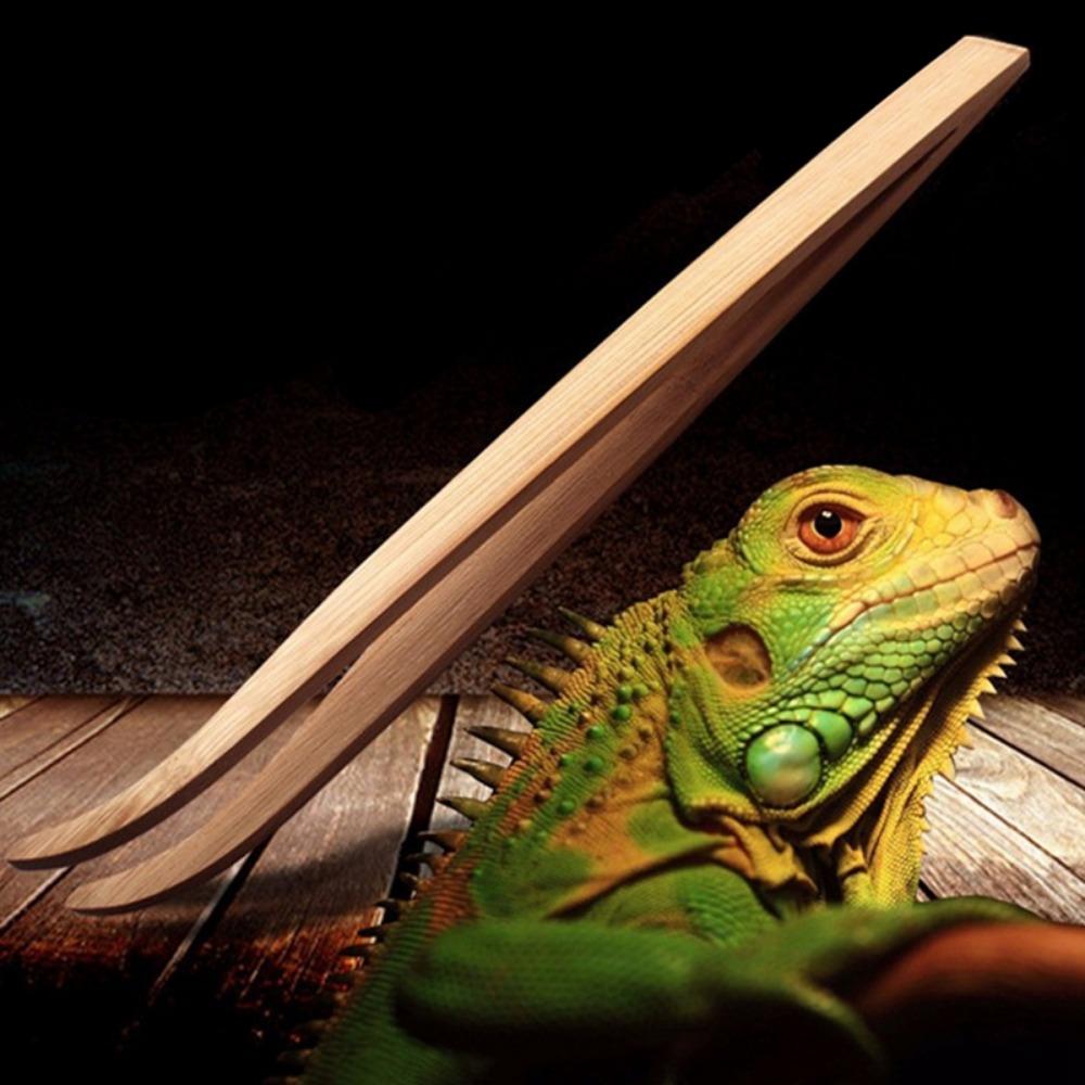 

Ручка из бамбука для домашних животных, инструменты для уборки фекалий, пинцет для кормления амфибий, щипцы для кормления рептилий