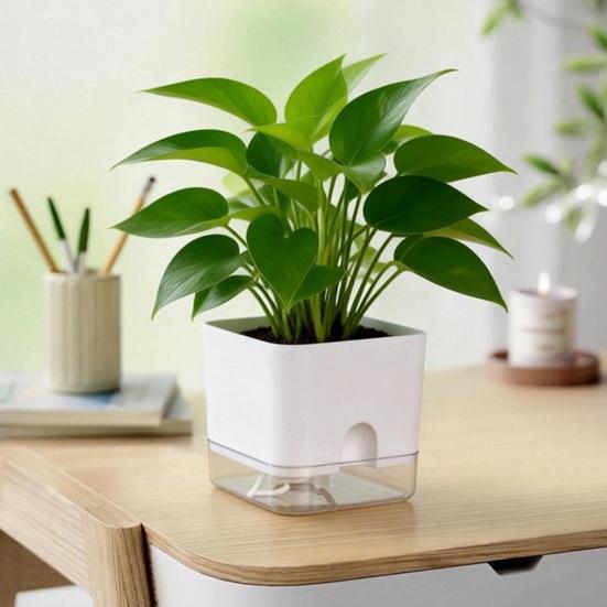 Maceta Auto-Riego Cuadrada con Depósito de Agua Cuerda Mecha Maceta Moderna para Interior Escritorio Decoración del Hogar
