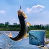 Practical Tackle Fishing Advent Calendar Realistic 24 Days Countdown Fishing Lure Calendar Fishing Gear Fishing Tackle Set Men
