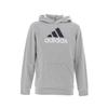Sweat Capuche Hooded U Bl 2 Hoodie - Adidas - Gris - Manches Longues - Col Capuche