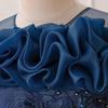 Children's Princess Embroidered Formal Piano & Party Dress