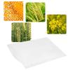 Compact Rain Garden Pollination Parchment Bags with Brthable Structure Soaking Seed Bag for Plant, Hybridization Bag for Flower