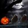 Halloween Corvo Nero Puntelli Realistico Corvo Spettrale Piumato Corvi Decorazione Casa
