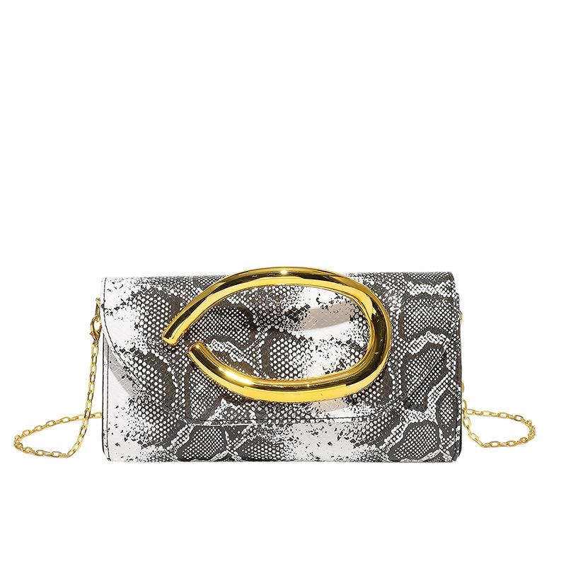 Foreign trade bags women's grab bags new 2025 European and American fashion niche single shoulder crossbody metal dinner bag tide