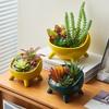 Nordic Ceramic Flower Pot: Succulent & Cactus Desktop Bonsai Ornament